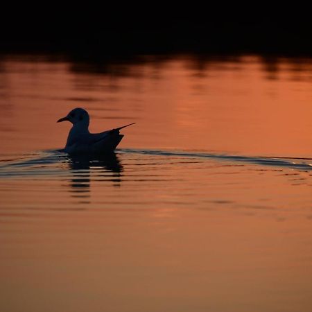 Agriturismo Venice Photobirding Tessera Dış mekan fotoğraf