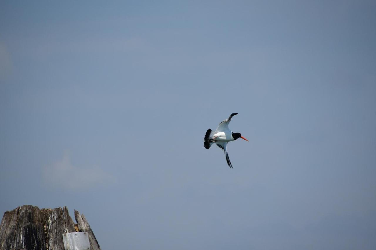 Agriturismo Venice Photobirding Tessera Dış mekan fotoğraf