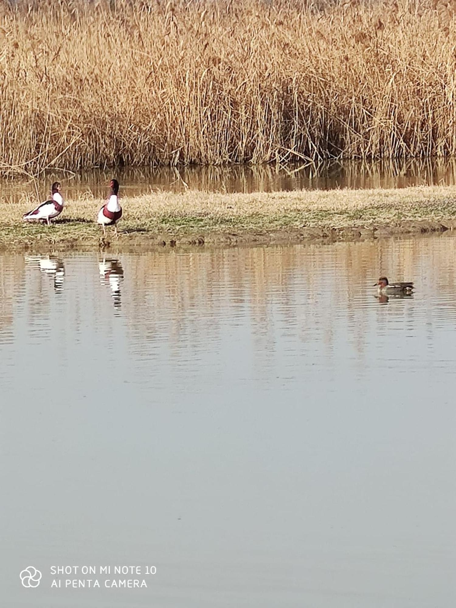 Agriturismo Venice Photobirding Tessera Dış mekan fotoğraf